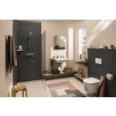 HANSGROHE 60147450 WC Sitz EluPura Original S