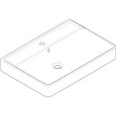 HANSGROHE 60221450 Waschtisch Xanuia Q 700x480mm