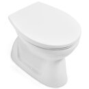 Villeroy &amp; Boch 4659R101 T-WC sprd-los Newo 360x550x390mm ov