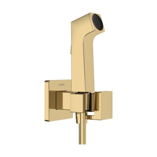 Hansgrohe 29231990 Handbrause Bidette E f.Kaltwasser