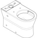 Hansgrohe 60135450 Stand WC f.aufge.Sp&uuml;lka.EluPura Or.S