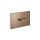 Dornbracht 12660979-42 Plaque de recouvrement pour toilette encastr&eacute;e WC TeCe
