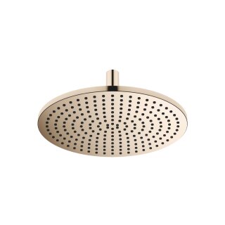 Dornbracht 28699970-26 RB m.Deckenanb. SERIENSPEZIFISCH