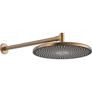 Hansa 4726030081 Kopfbrause HANSAAURELIA 4726