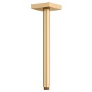 KEUCO 53089250302 Brausearm Edition 300 53089,