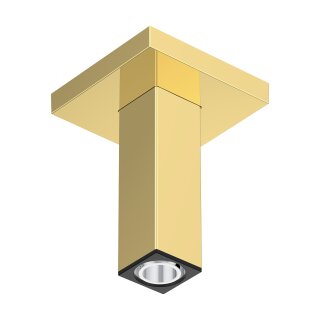 HANSGROHE 24338990 Deckenanschluss E 100mm PGO