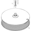 HANSGROHE 24521670 Kopfbrause Raindance Alive S