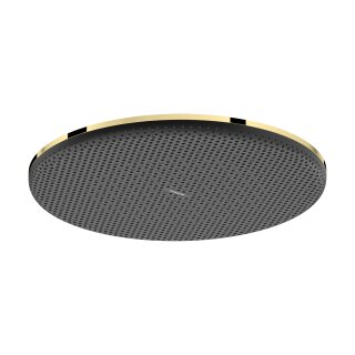 HANSGROHE 24521990 Kopfbrause Raindance Alive S
