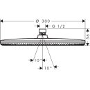 HANSGROHE 24521990 Kopfbrause Raindance Alive S