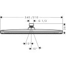 HANSGROHE 24530140 Kopfbrause Raindance Alive Q