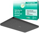 HANSGROHE 24531340 Kopfbrause Raindance Alive Q