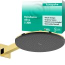 HANSGROHE 24540990 Kopfbrause Raindance Alive S