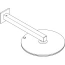 HANSGROHE 24541340 Kopfbrause Raindance Alive S