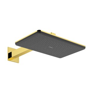 HANSGROHE 24550990 Kopfbrause Raindance Alive Q