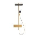 HANSGROHE 24580140 Showerpipe Raindance Alive Q