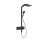 HANSGROHE 24580670 Showerpipe Raindance Alive Q