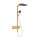 HANSGROHE 24591140 Showerpipe Raindance Alive Q