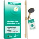 HANSGROHE 24602140 Brauseset Raindance Alive Select S