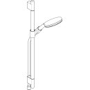 HANSGROHE 24602140 Brauseset Raindance Alive Select S
