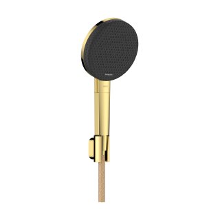 HANSGROHE 24611990 Porterset Raindance Alive Select S