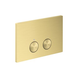 AXOR 42530950 Drückerplatte Axor FlushPlate BB