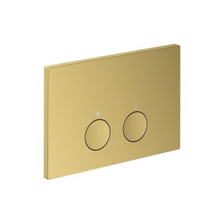 AXOR 42530990 Drückerplatte Axor FlushPlate PGO