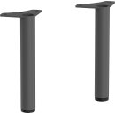 HANSGROHE 54289760 M&ouml;belf&uuml;&szlig;e Xilesa E