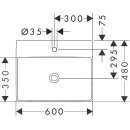 HANSGROHE 60317450 Waschtisch Xelu Q 600x480 mm