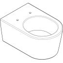 HANSGROHE 60343450 Wand WC EluPura S 540 mm