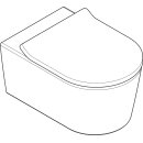 HANSGROHE 60344450 Wand WC Set EluPura S 540 mm