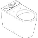 HANSGROHE 61163450 Stand WC EluPura S f.aufge.Sp&uuml;lka.640