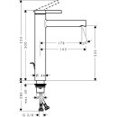 HANSGROHE 74730000 WTM 230 Zesis S CoolStart f.Waschsch.