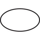 HANSGROHE 98432000 O-Ring 45x2,5mm