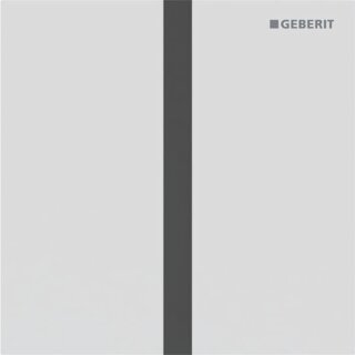 GEBERIT 246121JT1 Typ 40 Abdeckplatte für UR-Strg. IR