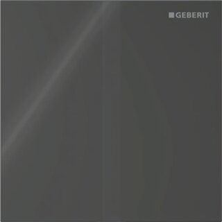 GEBERIT 246121SJ1 Typ 40 Abdeckplatte für UR-Strg. IR