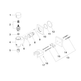 DORNBRACHT 27821979-39 WATER TUBE Kneipp-Wandanschlussb.