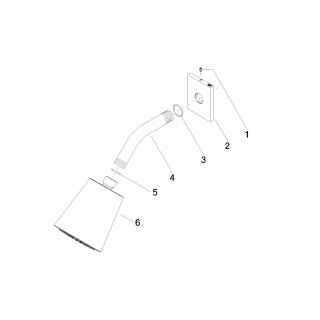 DORNBRACHT 28504670-39 Kopfbrause SERIENSPEZIFISCH 28504670