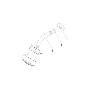 DORNBRACHT 28508979-39 Kopfbrause SERIENSPEZIFISCH 28508979