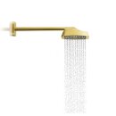HANSGROHE 39770990 Kopfbrause 250/160 Axor ShowerSphere