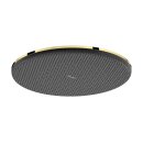 Hansgrohe 24523990 T&ecirc;te de douche...