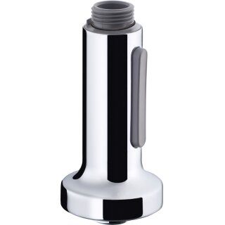 Hansgrohe 96920800 Douchette coulissante Allegra Variac acier