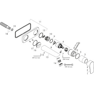 Hansgrohe 26251000 Raindance E 300 Pomme de douche au plafond - chrome