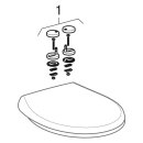 Geberit 203010600 Rondelle plate Renova Stand-WC