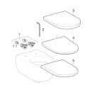 Keramag 204000000 iCon Tiefsp&uuml;l-WC, 4,5/6l