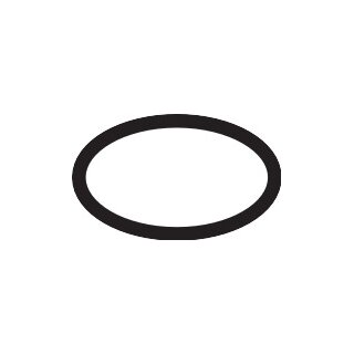 HANSGROHE 98205000 O-Ring 21x2mm