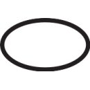 HANSGROHE 98205000 O-Ring 21x2mm