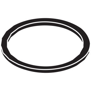 Hansgrohe 53982000 Schlauchring 50 x 54 x 3