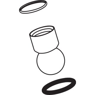 Hansgrohe 97331000 Pièce de jonction Pomme de douche Raindance