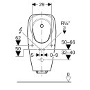 Geberit 116142001 Tamina Urinal, m. integr. Strg., Netz