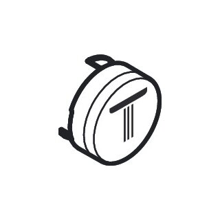 Hansgrohe 92572450 Bouton-poussoir symbole pomme de douche Pluie